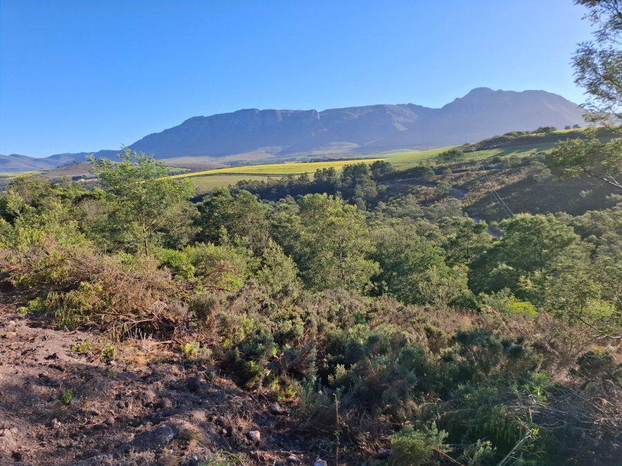 9 Bedroom Property for Sale in Riversdale Rural Western Cape